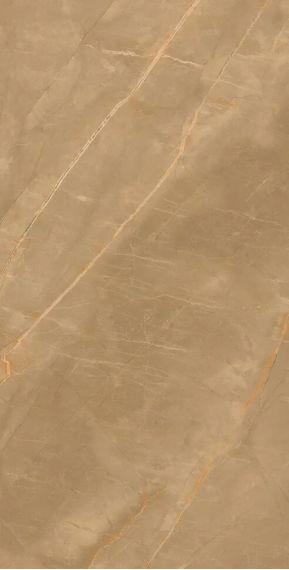 Eco Marble Royalish Brown 120x60