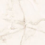 Eco Marble Silk Onyx Grey 60x60