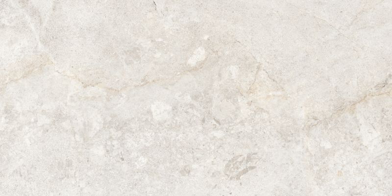 Edimex Avorio Drab 60x120