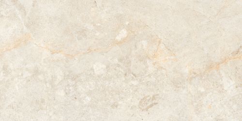 Edimex Ivory Drab 60x120