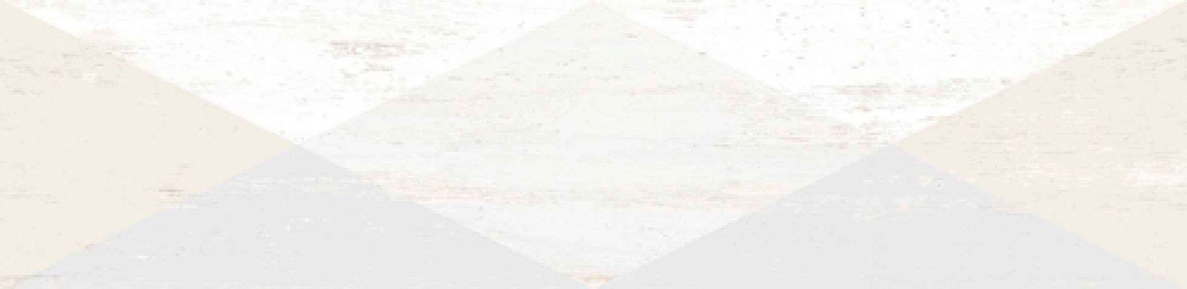 Efeso Dion Blanco R 21.8x89.3