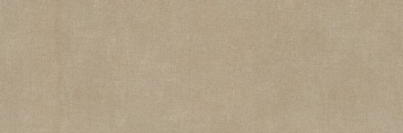 Elan Taupe 33.3*100