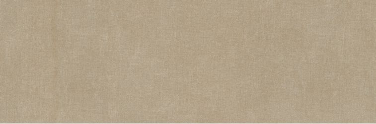 Elan Taupe 33.3*100