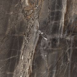 Electra Brown Полированный 60x60