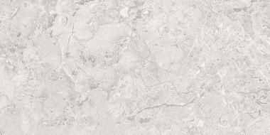 Elegance Grey Glossy Silver Line 60x120
