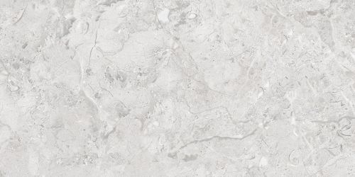 Elegance Grey Glossy Silver Line 60x120