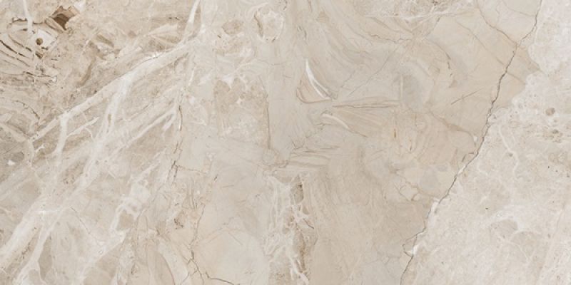 Elegance marfil NPlus 60x120