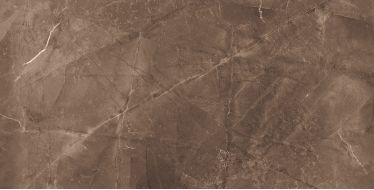 Elegant Armani Choco Полированный 60х120