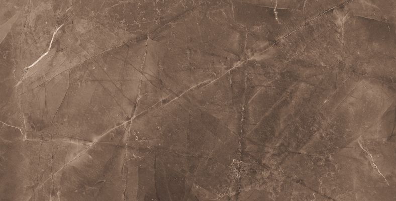 Elegant Armani Choco Полированный 60х120