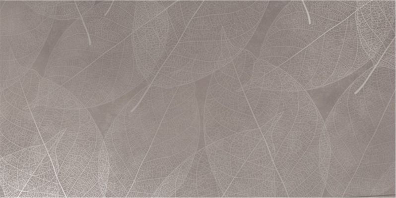 Eleganza Grigio Arte Carving 60x120