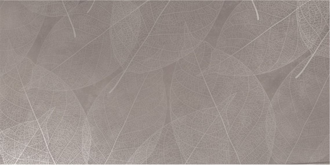Eleganza Grigio Arte Carving 60x120