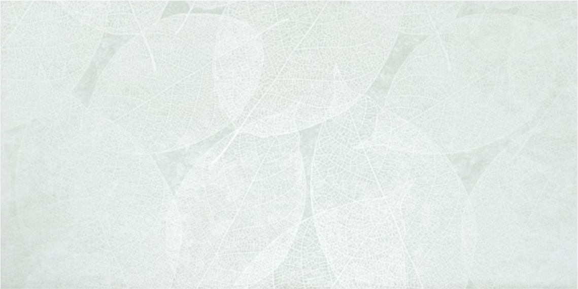 Eleganza Pale Arte Carving 60x120