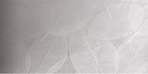 Eleganza Perla Arte Carving 60x120