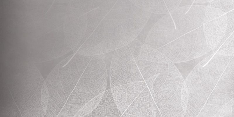 Eleganza Perla Arte Carving 60x120