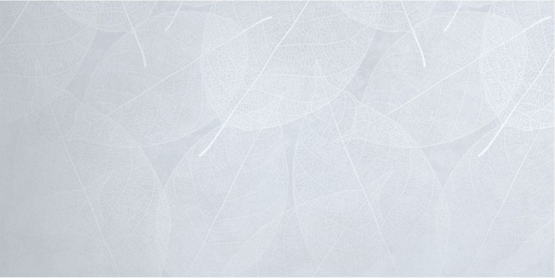 Eleganza Sky Arte Carving 60x120
