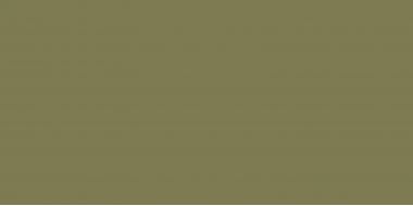 Elite Avocado 5мм Matt 60x120
