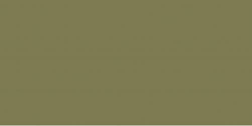 Elite Avocado 5мм Matt 60x120
