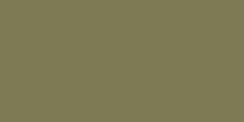 Elite Avocado 5мм Matt 60x120