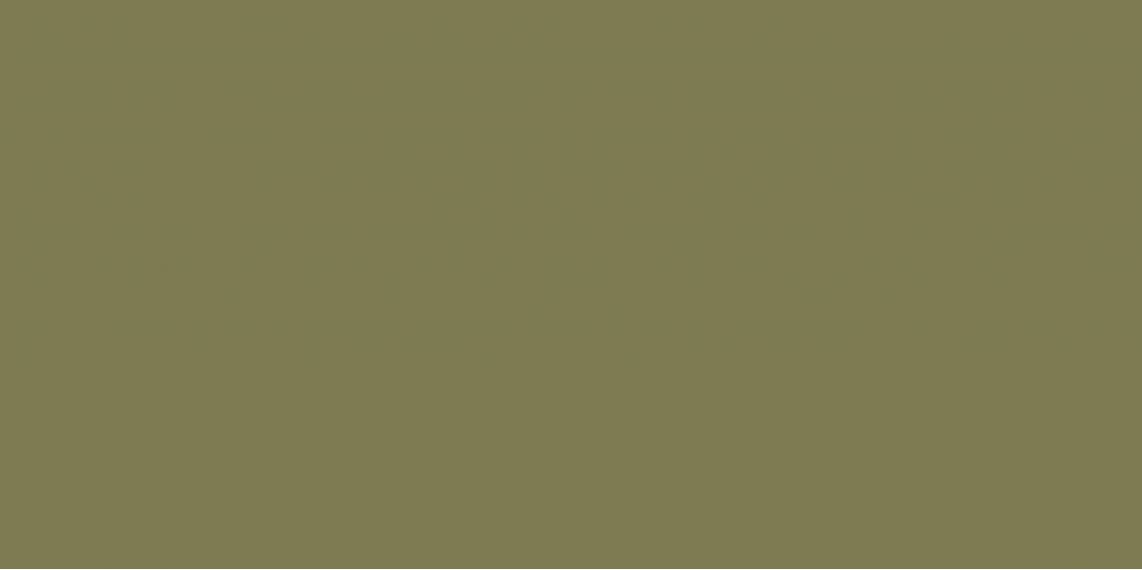 Elite Avocado 5мм Matt 60x120