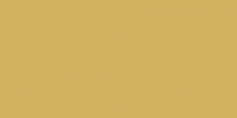 Elite Lemoncello 5мм Matt 60x120