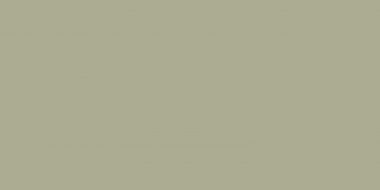 Elite Mushroom 5мм Matt 60x120
