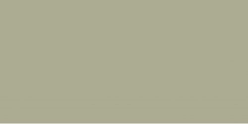 Elite Mushroom 5мм Matt 60x120