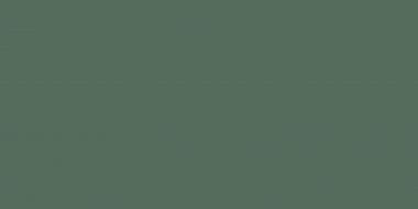Elite Ocean Green 5мм Matt 60x120