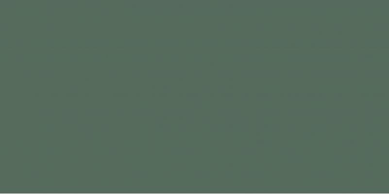 Elite Ocean Green 5мм Matt 60x120
