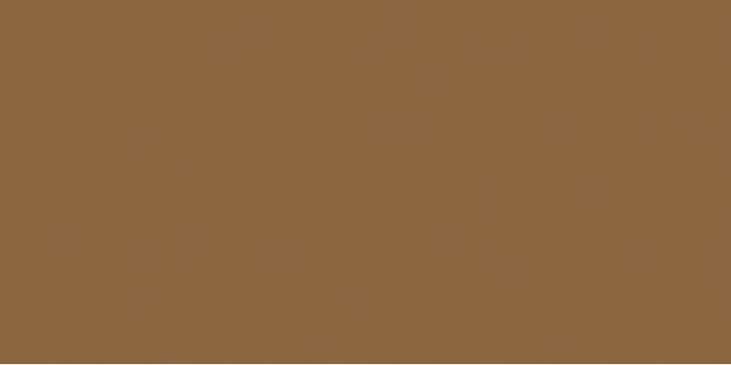 Elite Ocre 5мм Matt 60x120