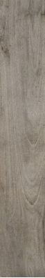 Ember Noon 02 Luc 20*120