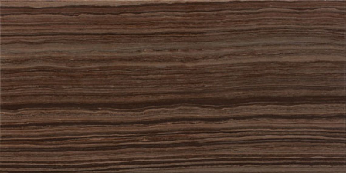 Eramosa BROWN LAP RET 30*60