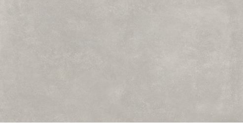 Ess.Wonder Gris Natural 60x120
