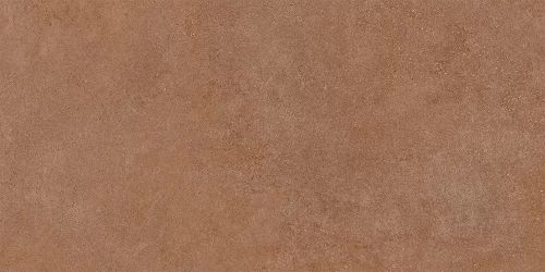 Essenza С-3 Rust 60x120