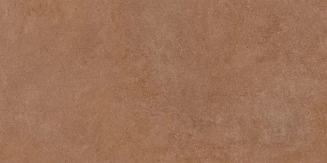 Essenza С-3 Rust 60x120