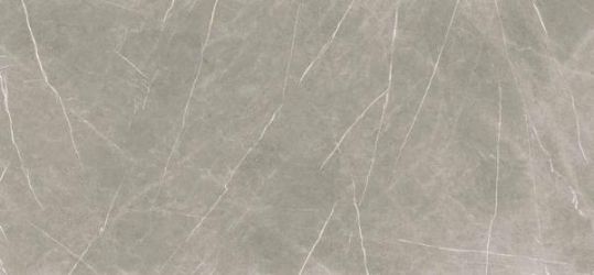 Eternal Natural Taupe 260x120