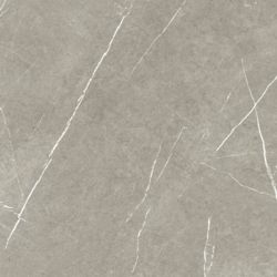 Eternal Natural Taupe 60x60