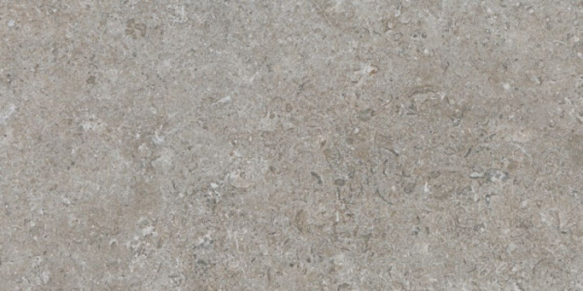 Etienne Nut RC 30x60