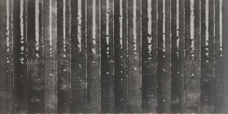 Etna Nero 15x30