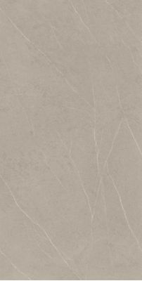 Evoke Taupe High Glossy 80x160