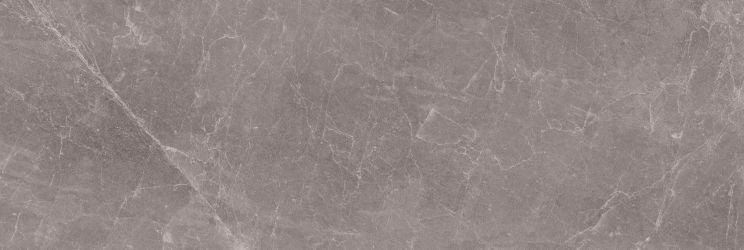 Exedra Tiles Glossy Rain Grey 300x100