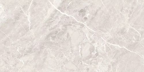 Extra Silver Matt 60x120