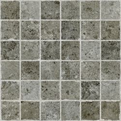 F1ED NAOY Vito Gray Rectified 59.4x59.4