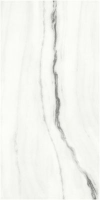 F918G10101 Керамогранит Panda White glossy 90x180