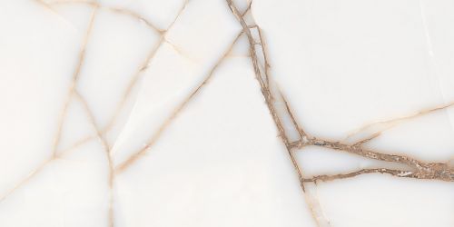 FAVORITE ONYX WHITE GLOSSY 60x120