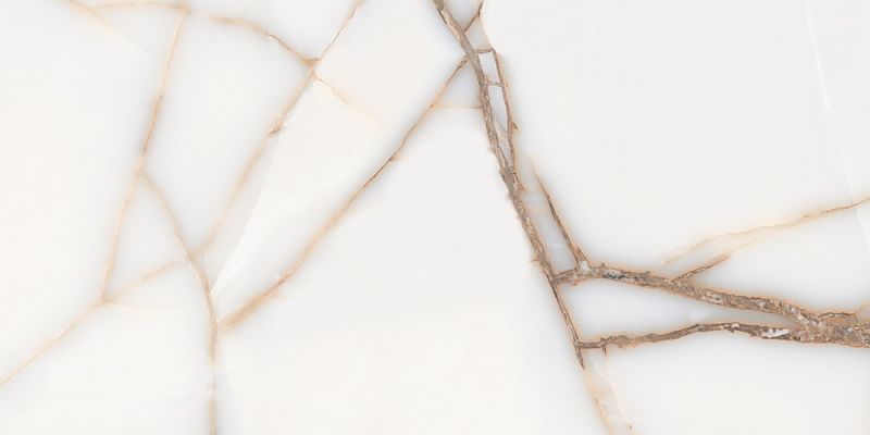 FAVORITE ONYX WHITE GLOSSY 60x120
