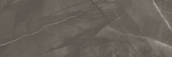 FKCT3AW141 Marble Pulpis Vison Rectificado 30x90,2