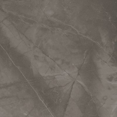 FKCT660141 Marble Pulpis Vison Lapato Rectificado 60x60