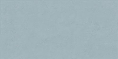FLORALIA BLEUET 60x120