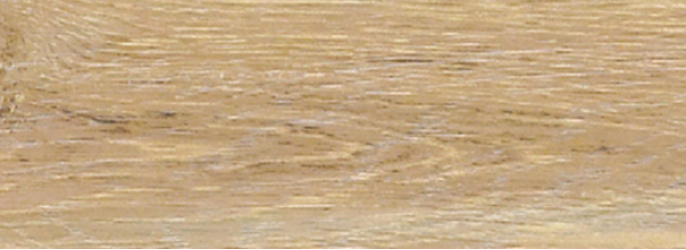 FOREST ROVERE 300x100