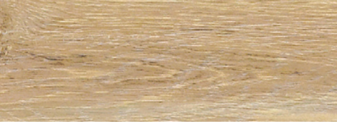 FOREST ROVERE 300x100